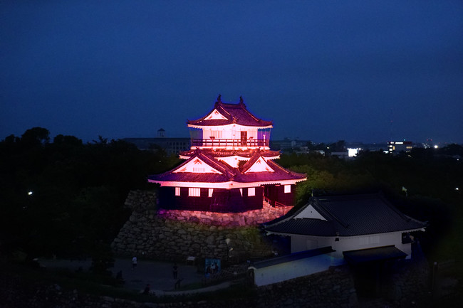 ◆浜松城「ピンクリボン・ライトアップ」イメージ画像）