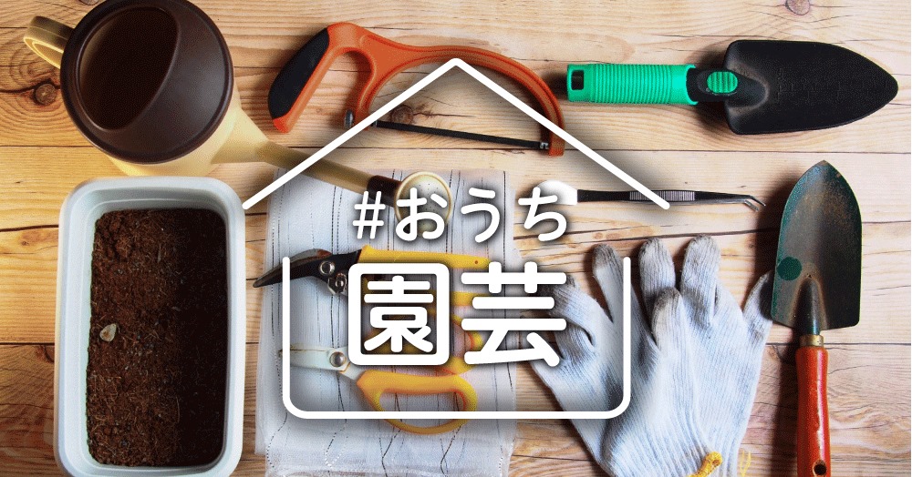 家の中でできる園芸『おうち園芸』コンテンツを開始！家にいる時間も家族との楽しい時間を提案