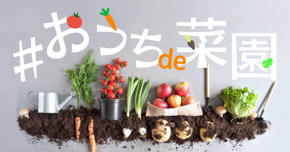 大好評コンテンツ『おうち園芸』に続き、野菜を育てて、充実したおうち時間を過ごせる『おうちde菜園』を提案