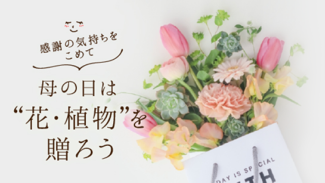 全国の花屋 園芸店応援プロジェクト 植物アプリgreen Snapが 母の日は 花 植物を贈ろうキャンペーン を開催 Greensnap株式会社のプレスリリース
