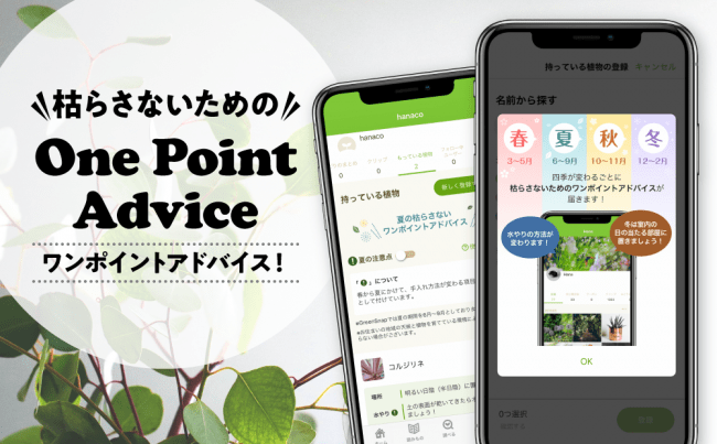 開始から1ヶ月弱で登録数10万突破 Greensnapアプリの 育て方アドバイス 機能が充実 Zdnet Japan