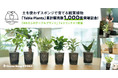 「Table Plants」の累計販売数が1,000個を突破！GreenSnapにて記念フォトコンテストを開催
