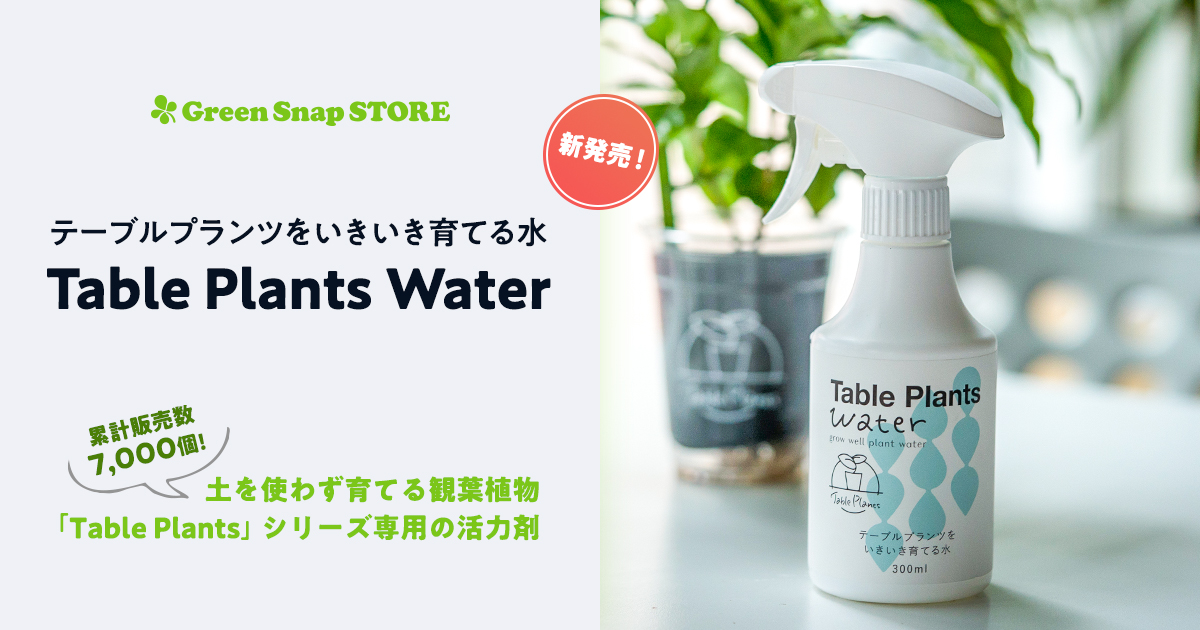 累計販売数7 000個の土を使わず育てる観葉植物 Table Plants シリーズに 専用の活力剤 Table Plants Water が新登場 Greensnap株式会社のプレスリリース