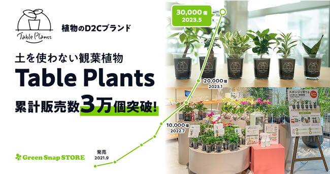 GreenSnap】土を使わない観葉植物「Table Plants」が累計販売数3万個を