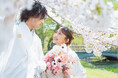 満開に咲きほこる桜とふたりの笑顔。札幌中島公園で叶える桜ロケーションウエディングフォト