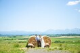 【美瑛千代田ファームLocation】優しい風に誓う、ふたりの未来と信頼。特別なgarden weddingを。