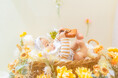 暖かな春の陽気に包まれて日向ぼっこ。New visual【Cheerful baby】が登場。