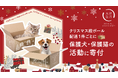 “犬猫生活クリスマスチャリティ2024” 第1弾 クリスマス特別デザインの段ボールでの配送1件ごとに保護犬猫の譲渡活動に寄付(12/1~)