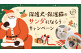 犬猫生活「保護犬・保護猫のサンタになろうキャンペーン」実施。タオルとおやつを動物福祉団体へのクリスマスプレゼントに