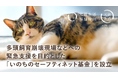 犬猫生活福祉財団、多頭飼育崩壊などの緊急レスキューを目的とする「いのちのセーフティネット基金」を設立。