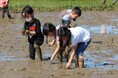 【取材のご案内】9月2日（水）開催「南魚沼市×どろんこ会グループ」包括連携協定締結式のご取材について