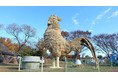 【福岡県筑前町】巨大わらかがし「鶏と卵」展示中