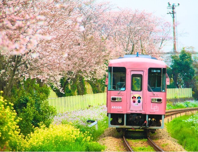 【福岡県小郡市】映え列車 “甘鉄” との三大特別企画 6月末まで