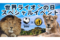 【福岡県大牟田市】大牟田市動物園　　　　　　　　　　　　　　　～世界ライオンの日スペシャルイベント開催～