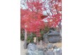 【福岡県小郡市】紅葉スポット
