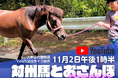 【福岡県大牟田市】大牟田市動物園 YouTubeライブ配信!対州馬とおさんぽスペシャル開催!