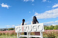 赤蕎麦の花が見頃の筑後広域公園にフォトスポット「ちっごい 愛のベンチ」が完成!!