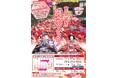 【福岡県朝倉市】古都秋月雛めぐり 春を待つ落ち着いた佇まいの秋月へ