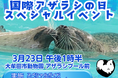 【福岡県大牟田市】大牟田市動物園 「国際アザラシの日」スペシャルイベント開催!