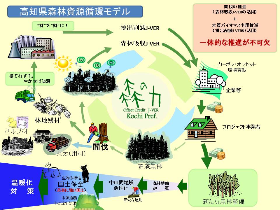 日本トイザらス 高知の森でカーボン オフセットを初めて実施 日本トイザらス株式会社のプレスリリース