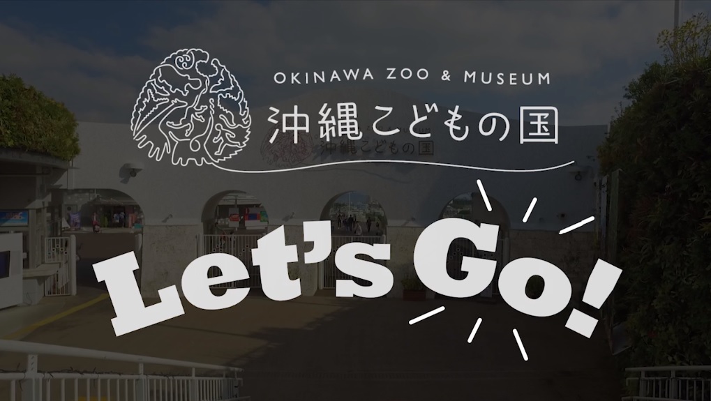 沖縄こどもの国 動物園で日本初 体験型動画 配信スタート 沖縄市役所のプレスリリース
