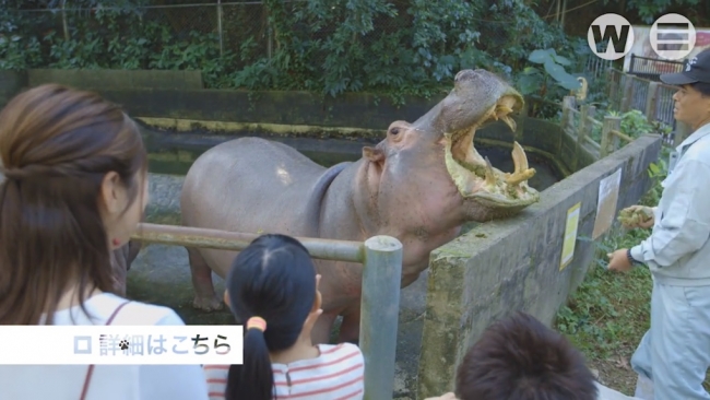 もぐもぐウォッチング②