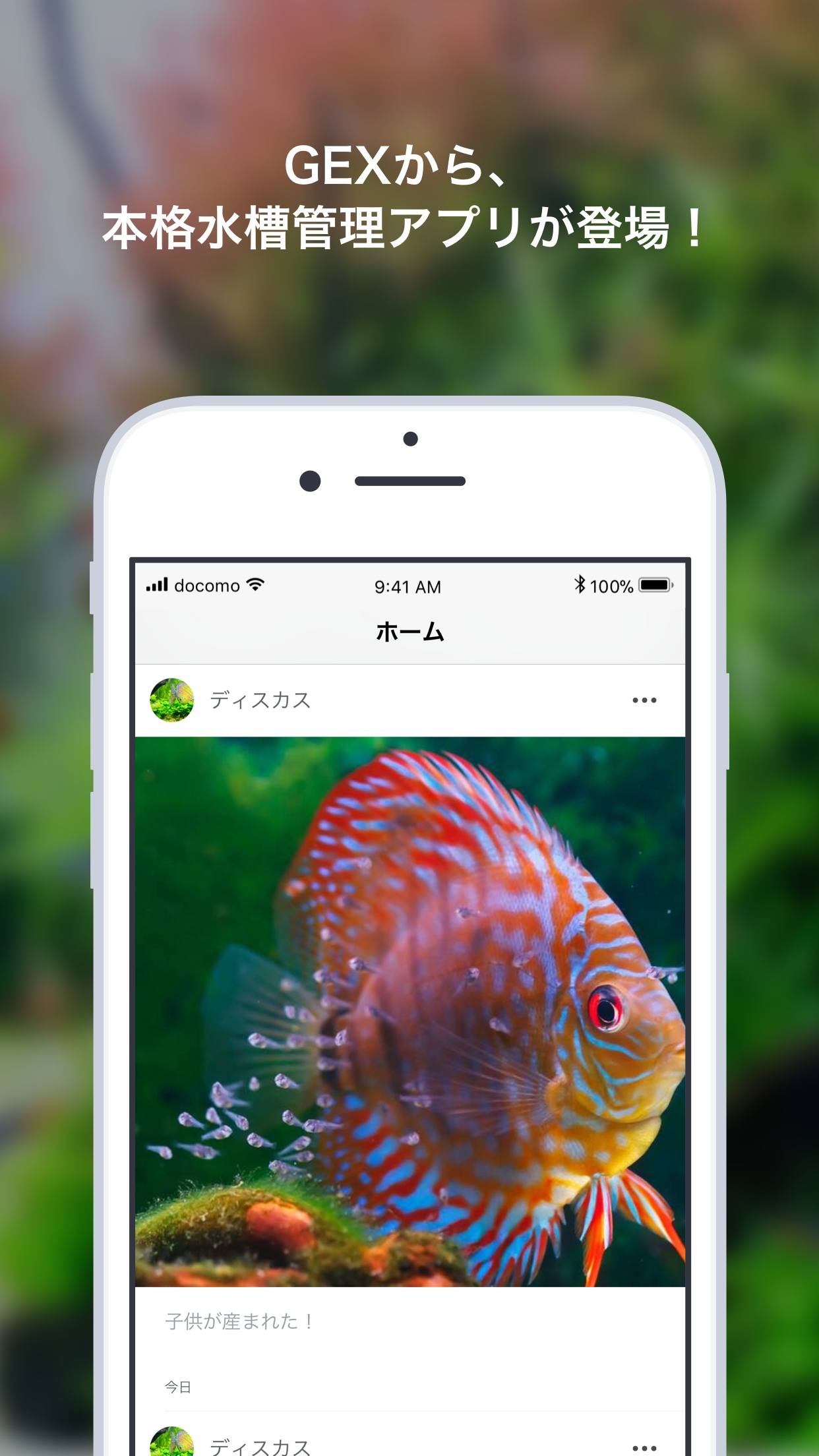 スマホで魚の成長を簡単に記録 Gex公式水槽管理アプリ アクレコ 配信開始 株式会社コノルのプレスリリース