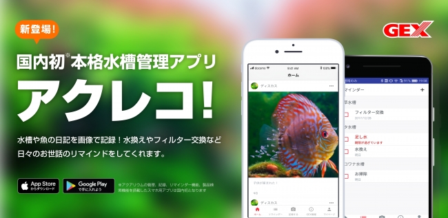 スマホで魚の成長を簡単に記録 Gex公式水槽管理アプリ アクレコ 配信開始 株式会社コノルのプレスリリース