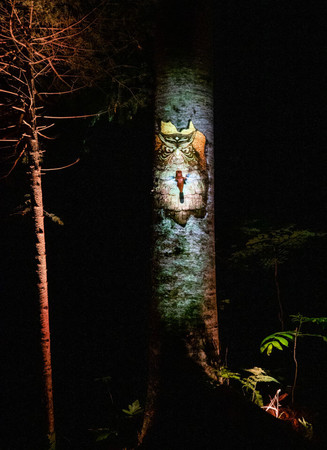 まるで木の中に潜んでいるかのように映し出されるフクロウ　©MOMENT FACTORY