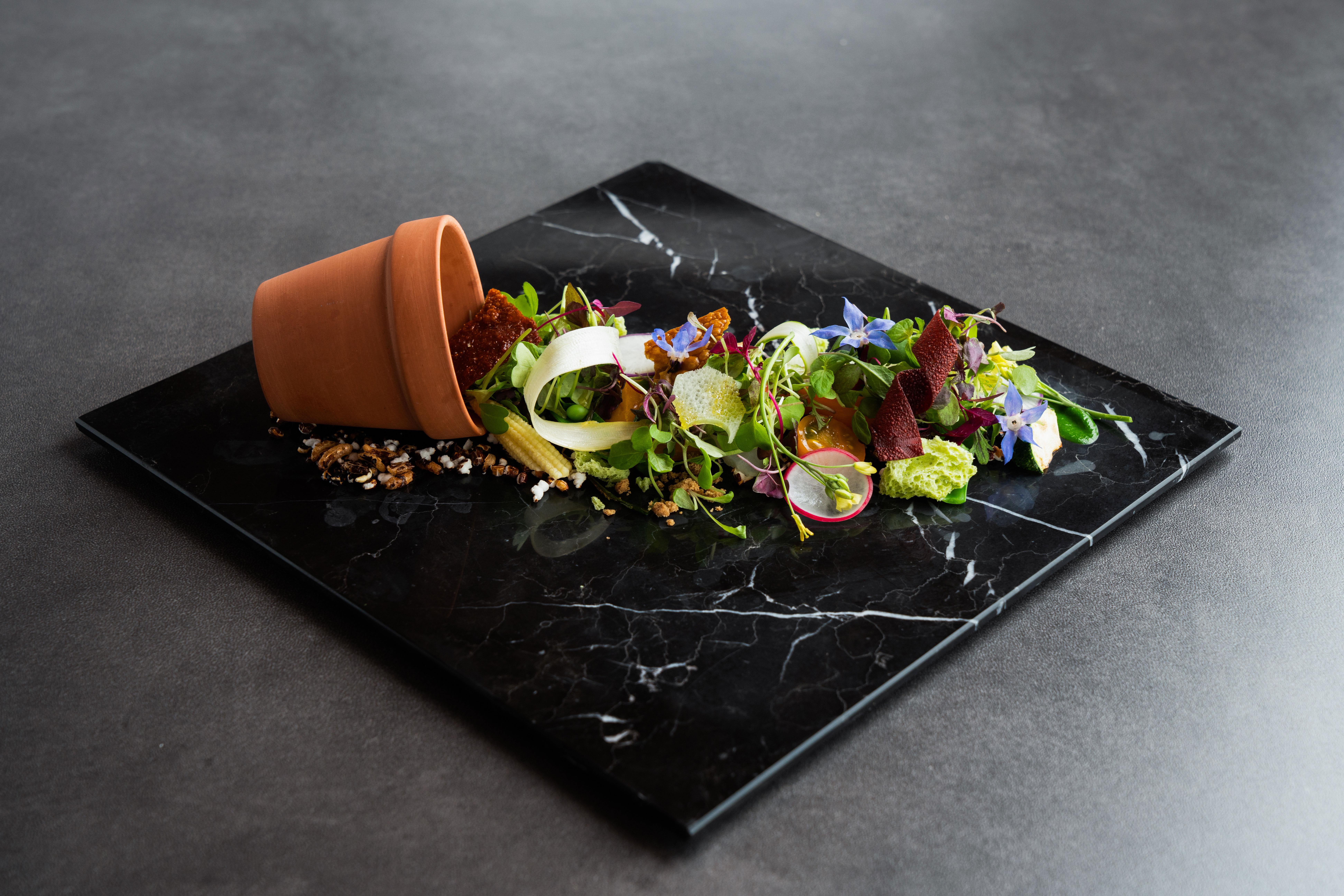 食べログ百名店 ナプレ 東京ミッドタウン店 表参道の人気イタリアン リストランテ イタリアーノ エトゥルスキで ムスリムフレンドリー認証 を取得 Takami Holdings株式会社のプレスリリース