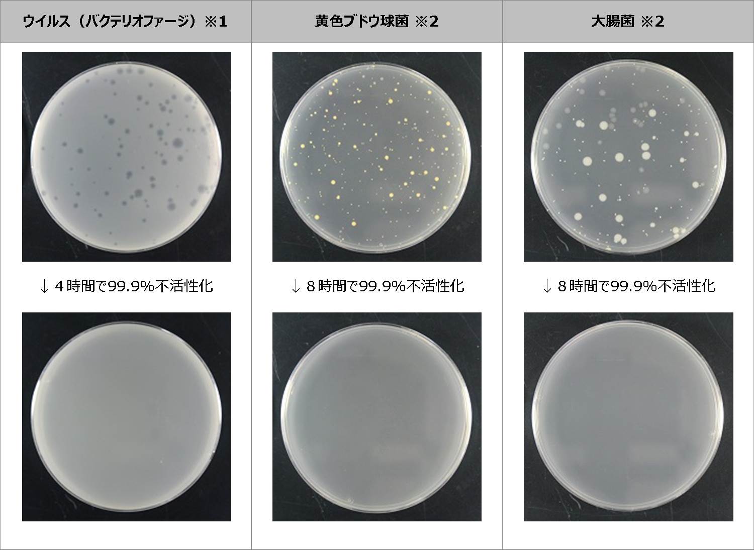 抗菌・抗ウイルス、超低臭、ゼロVOC、消臭効果を備えた室内用水性塗料