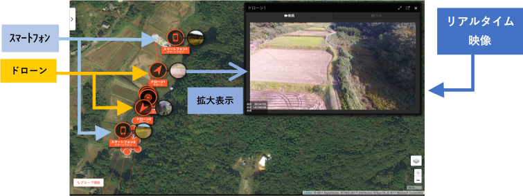 D42324 9 817753 2