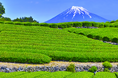 静岡県による未利用食材活用マッチング支援事業をシェアシマがサポート