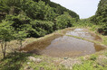 熊本県上益城郡益城町において湿地再生活動を開始