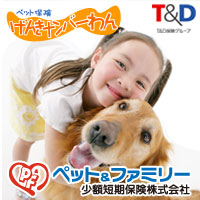 ペットの老後について悩んでいませんか 不安を感じている飼い主は６割以上も ７歳から年を取ったと感じる方が増加傾向 ペット ファミリー少額短期保険 株式会社のプレスリリース