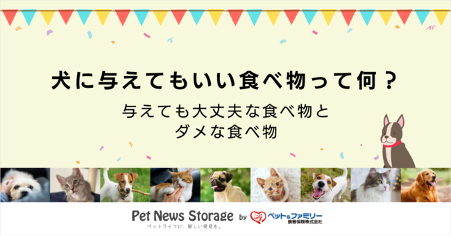 ペット ファミリー損保 犬に与えてもいい食べ物って何 大丈夫な食べ物とダメな食べ物13種類 雑記帳