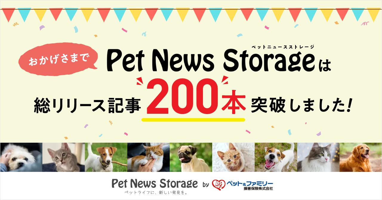 ペット保険会社が運営する専門家監修のwebメディア Pet News Storage 総リリース記事 0本を突破 ペット ファミリー損保のプレスリリース