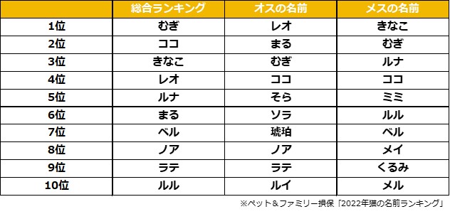 ペット ファミリー損保 ペットニュースストレージ 22年 猫の名前ランキング を発表 21年にペット保険に新規加入した0歳の猫の名前を大調査 雑記帳