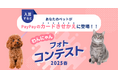 わんにゃんフォトコンテスト開催のお知らせ
