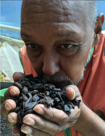 発見されたバラの香りがするコーヒー豆を含む乾燥フルーツ、精製する前のバラの香りがするコーヒー果実とコロンビアのサザコーヒー農園のエドガーモレノ博士