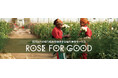 AFRIKA ROSEの法人向け福利厚生サービス「ROSE FOR GOOD」を株式会社テラと共同開発