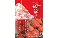 【愛媛・松山】P・SPO、松山土曜夜市に今年も出店　かき氷「苺氷り」販売＆古着POPUP開催
