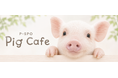 【愛媛・松山】P・SPO Pig Cafe 公式Instagram開設