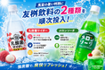 真夏のリフレッシュに新提案！友桝飲料の「乳酸菌サイダー」「メロンソーダ」を順次販売開始