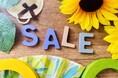 【愛媛・松山】もっともっとお得に！夏のマンスリーマンションが最大30％OFF＋清掃料金50％OFF！