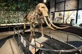 【狭山市立博物館】ボランティアガイドが研究成果や独自の見解を熱血解説！「第15回 常設展ガイドツアー」を土・日曜日に開催中（8月30日まで）