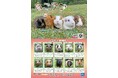【智光山公園】推しテンジクネズミは誰だ！？ 100頭以上の頂点を決める熱き戦い、智光山公園こども動物園「第4回 ちこテン総選挙」2026年9月19日(土)より開催！