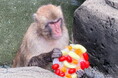 【智光山公園】夏限定！動物たちのひんやりおやつタイムは明日（8月8日）から