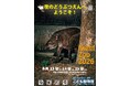 【智光山公園】夜の動物園へようこそ！Night Zoo 2026　動物たちの夜の姿が見られるのは8月13日（木）・14日（金）・15日（土）の3日間
