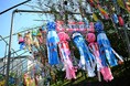 【埼玉県狭山市】「関東三大七夕まつり」に数えられる『狭山市入間川七夕まつり』は今週末8月1日(土)・2日(日)に開催！　”矢来飾り”や竹飾り約100本と花火の競演